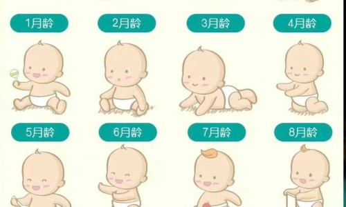 婴儿头部撞击急救妙招-婴儿头部被撞击怎么消肿专区_婴儿头部强烈撞击会怎么样专区_婴儿头部强烈撞击网